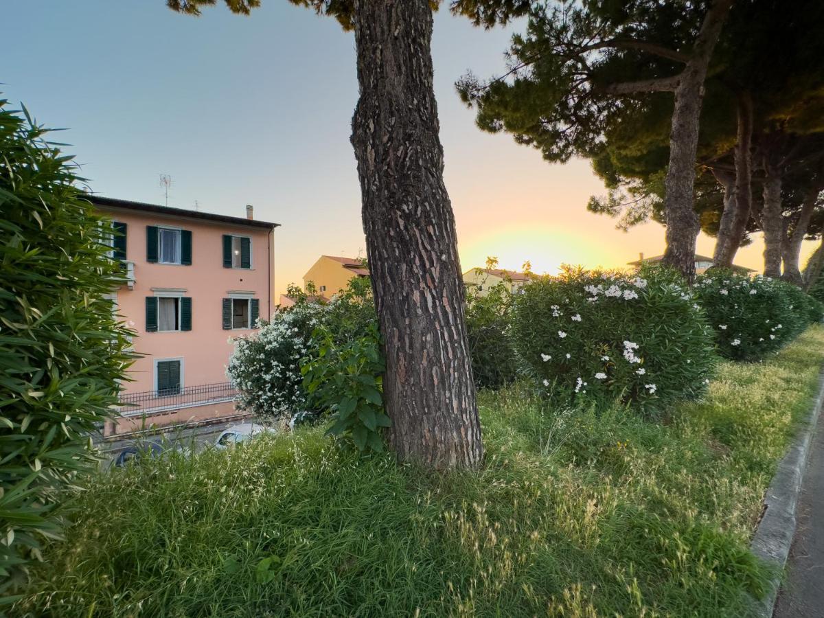 La Casa Di Eli Appartamenti Pisa Eksteriør billede